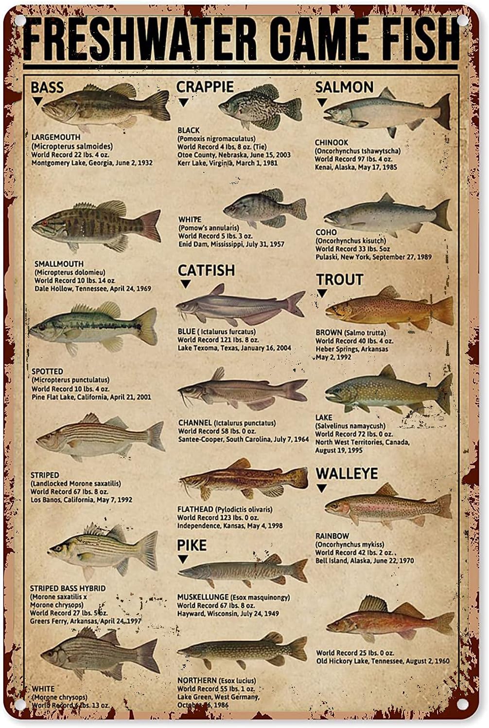 Retro Gaming Pictures - Y1,Fishing Art Posters Metal Sign Freshwater