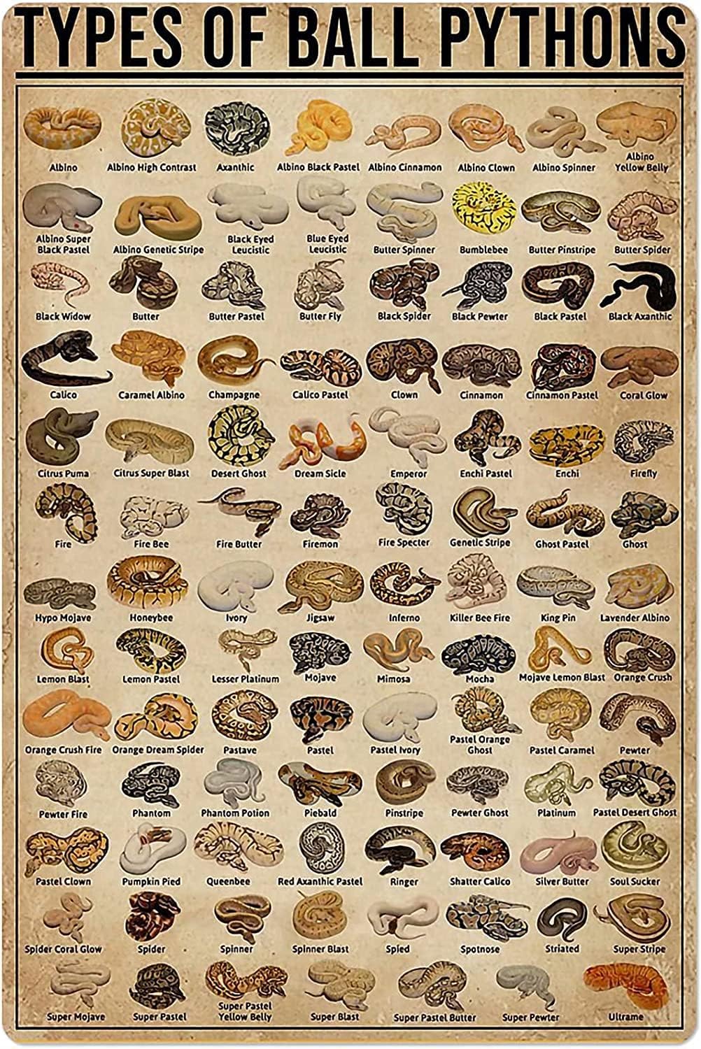 Retro Metal Tin Sign Types of  - đánh giá và giá Retro Gaming Pictures